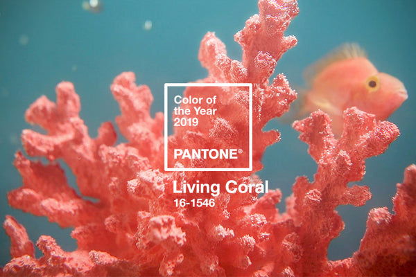 Conheça Living Coral, a cor oficial de 2019!