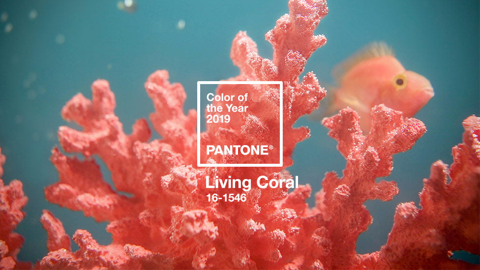 Conheça Living Coral, a cor oficial de 2019!
