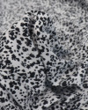 Tecido Viscose Acetinada Italiano Folhagens Abstratas P/B