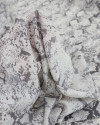 Tecido Crepe Koshibo Leve Italiano Animal Print Tons de Cinza