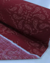 Tecido Viscose Texturizada Paisley Delicado em Recortes Bege e Vermelho Carmim