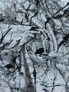 Tecido Crepe Italiano Respingos Abstratos Preto e Cinza